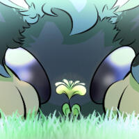 Soft Icon